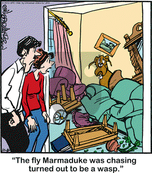 Marmaduke on Wednesday November 6, 2013 Comic Strip