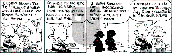 Soup to Nutz - Old on Saturday December 29, 2007 Comic Strip