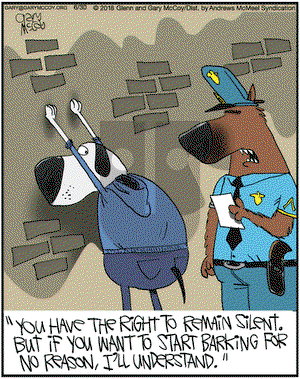 The Flying McCoys on Saturday June 30, 2018 Comic Strip