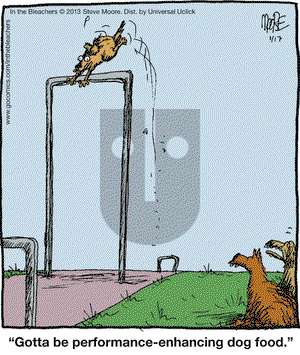 In the Bleachers on Thursday January 17, 2013 Comic Strip