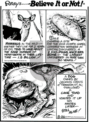 Ripley's Believe It or Not on Tuesday August 26, 2008 Comic Strip