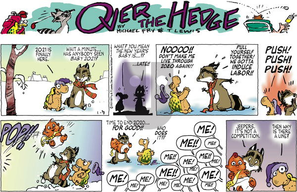 Over the Hedge on Sunday January 3, 2021 Comic Strip