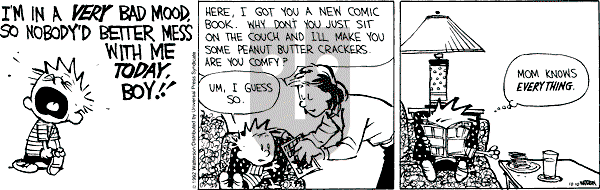 Calvin and Hobbes - Saturday October 10, 1992 Comic Strip