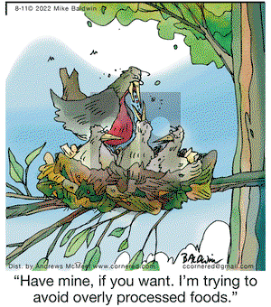Cornered - Thursday August 11, 2022 Comic Strip