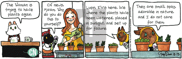 Breaking Cat News on Monday August 13, 2018 Comic Strip