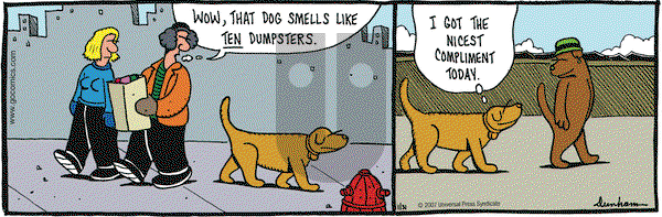 Overboard on Wednesday January 31, 2007 Comic Strip