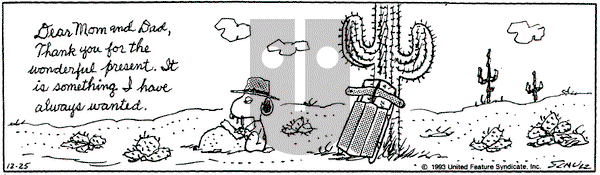 Peanuts - Saturday December 25, 1993 Comic Strip