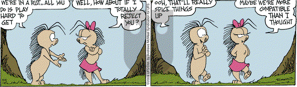 The Grizzwells - Thursday August 8, 2024 Comic Strip