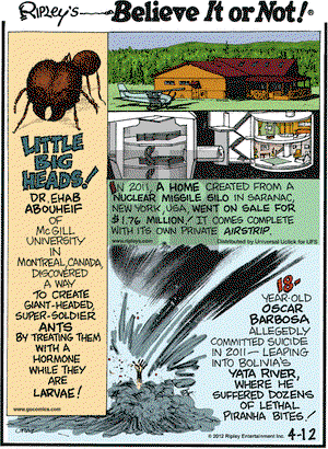 Ripley's Believe It or Not on Thursday April 12, 2012 Comic Strip