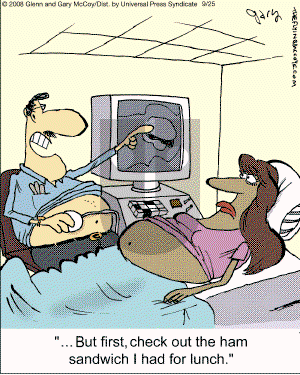 The Flying McCoys - Thursday September 25, 2008 Comic Strip