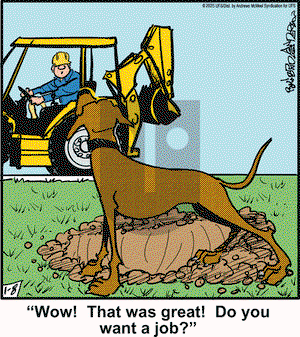 Marmaduke - Wednesday January 8, 2025 Comic Strip