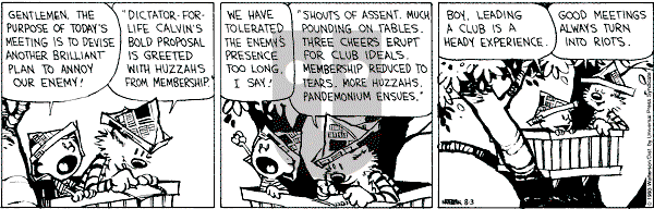 Calvin and Hobbes - Tuesday August 3, 1993 Comic Strip