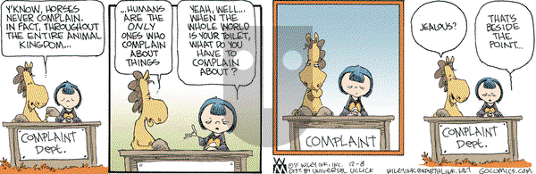 Non Sequitur on Thursday December 8, 2011 Comic Strip
