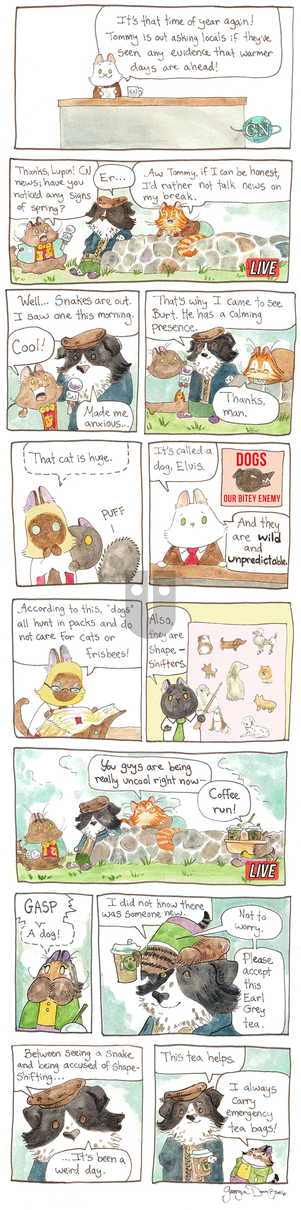 Breaking Cat News on Thursday March 2, 2017 Comic Strip