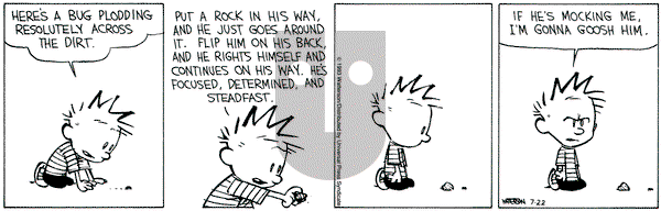 Calvin and Hobbes on Thursday July 22, 1993 Comic Strip