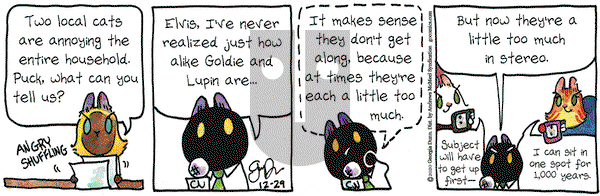 Breaking Cat News on Tuesday December 29, 2020 Comic Strip