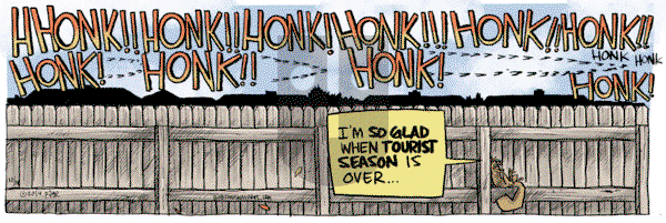 Bob the Squirrel - Monday October 14, 2024 Comic Strip