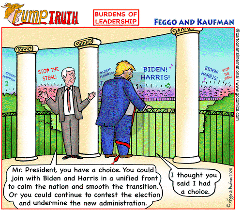 Views of the World on Tuesday November 10, 2020 Comic Strip