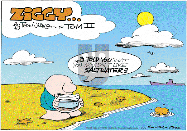 Ziggy - Sunday February 13, 2005 Comic Strip