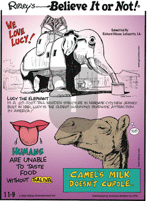 Ripley's Believe It or Not on Monday November 9, 2020 Comic Strip