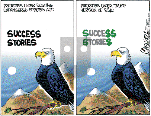 Stuart Carlson on Monday August 19, 2019 Comic Strip