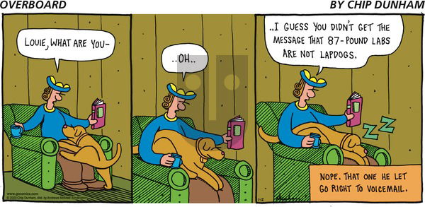 Overboard on Sunday January 12, 2020 Comic Strip
