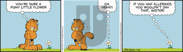 Garfield on Saturday July 18, 2020 Comic Strip