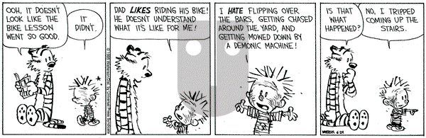 Calvin and Hobbes on Saturday June 24, 1995 Comic Strip