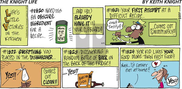 The Knight Life on Sunday June 9, 2013 Comic Strip