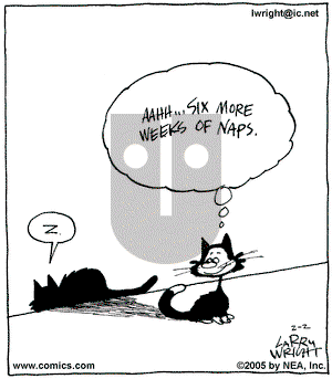 Kit 'N' Carlyle on Wednesday February 2, 2005 Comic Strip