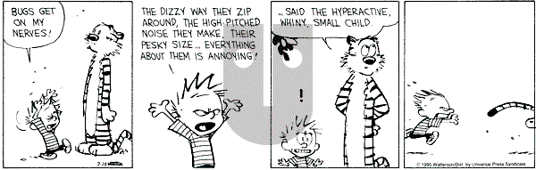 Calvin and Hobbes - Friday July 28, 1995 Comic Strip