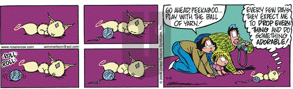 Rose is Rose on Wednesday November 5, 2008 Comic Strip