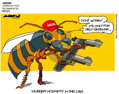ViewsLatinAmerica on Tuesday May 5, 2020 Comic Strip