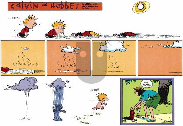 Calvin and Hobbes on Sunday July 26, 2015 Comic Strip