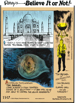 Ripley's Believe It or Not on Thursday November 17, 2016 Comic Strip