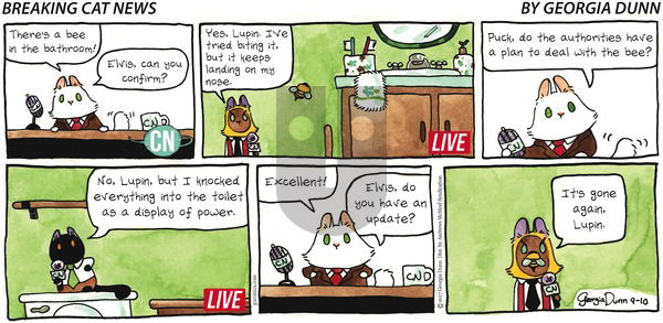 Breaking Cat News on Sunday September 10, 2017 Comic Strip