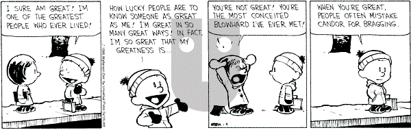 Calvin and Hobbes - Wednesday January 4, 1995 Comic Strip