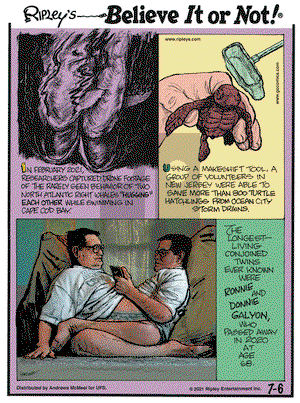 Ripley's Believe It or Not on Tuesday July 6, 2021 Comic Strip