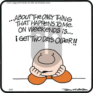 Ziggy on Saturday August 29, 2015 Comic Strip