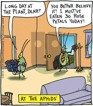 The Argyle Sweater on Wednesday October 8, 2014 Comic Strip