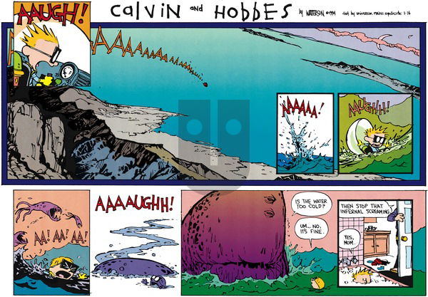 Calvin and Hobbes on Sunday January 16, 1994 Comic Strip