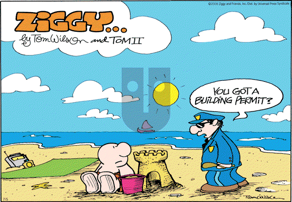Ziggy - Sunday July 5, 2009 Comic Strip