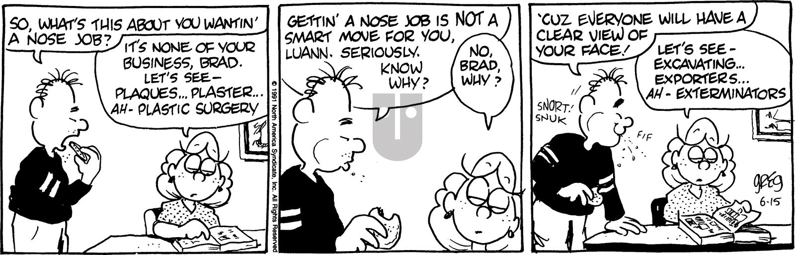 Luann - Saturday June 15, 1991 Comic Strip