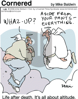 Cornered on Thursday January 26, 2006 Comic Strip