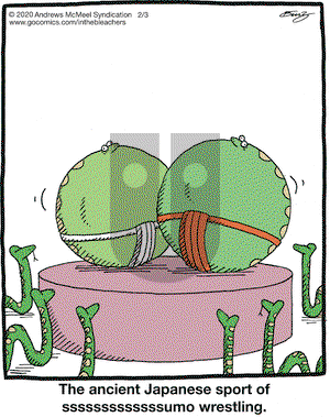 In the Bleachers on Monday February 3, 2020 Comic Strip