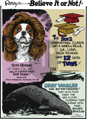 Ripley's Believe It or Not - Thursday July 26, 2012 Comic Strip
