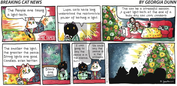 Breaking Cat News on Sunday December 17, 2017 Comic Strip
