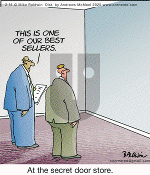 Cornered - Saturday February 15, 2025 Comic Strip