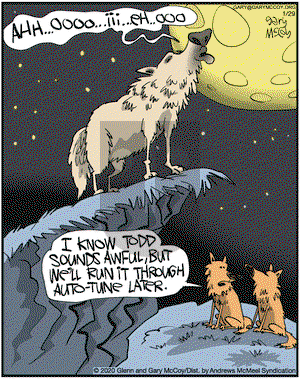 The Flying McCoys on Wednesday January 29, 2020 Comic Strip