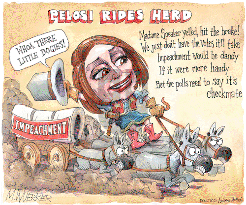 Matt Wuerker on Thursday June 13, 2019 Comic Strip